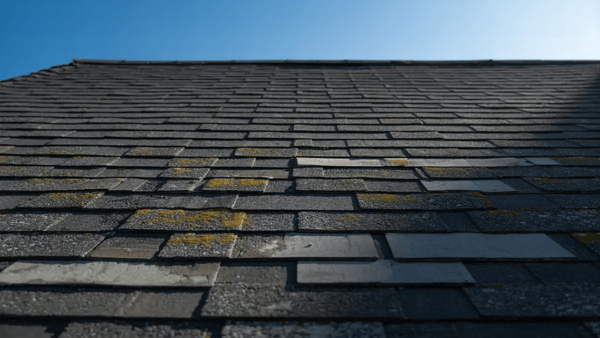 How Often Should You Have Your Roof Inspected in California? Expert Guide